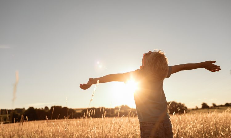 Happy little boy child standing in a meadow with arms outstretched.